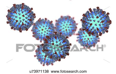 Measles virus, illustration View Large Photo Image Stock Photo - Measles virus, illustration. Fotosearch