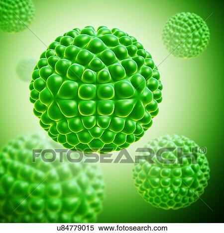 Stock Photography - Nudaurelia capensis omega virus, illustration. Fotosearch