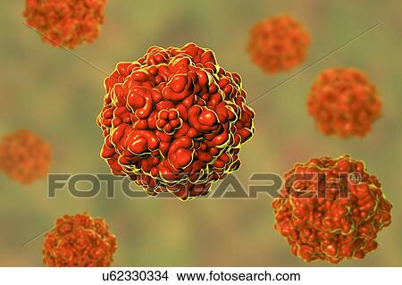 Picture - Porcine parvovirus, illustration. Fotosearch