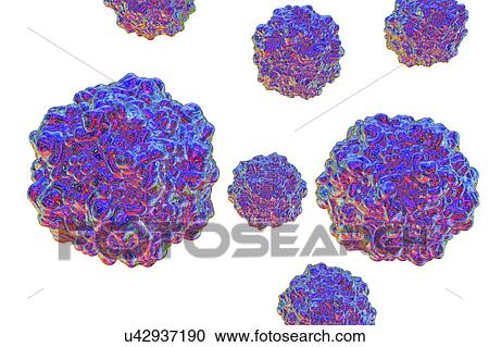 Stock Image - Porcine parvovirus, illustration. Fotosearch