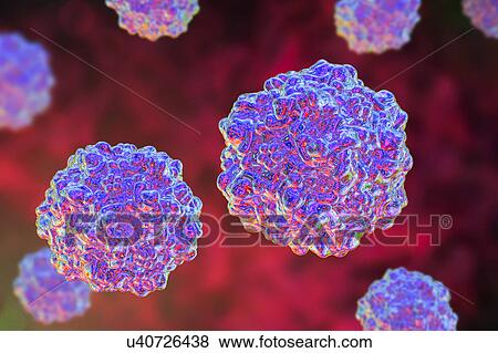 Stock Photo - Porcine parvovirus, illustration. Fotosearch