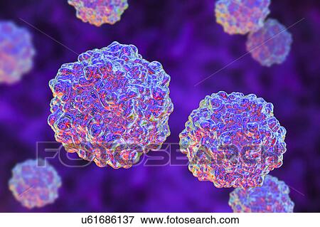 Porcine parvovirus, illustration View Large Photo Image Stock Photo - Porcine parvovirus, illustration. Fotosearch