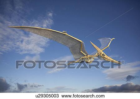 Stock Image - Pteranodon skeleton, illustration. Fotosearch