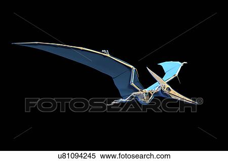 Stock Photography - Pteranodon skeleton, illustration. Fotosearch