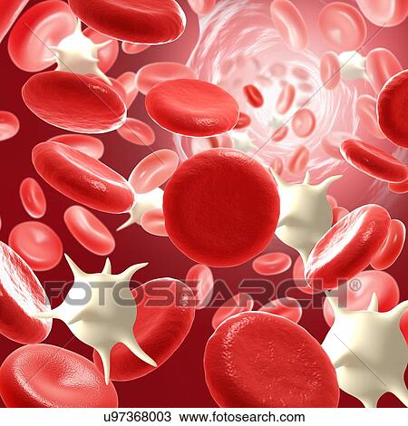 Stock Image - Red and white blood cells, illustration. Fotosearch