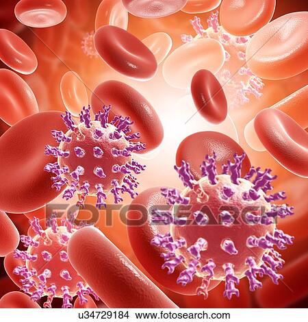 Picture - Rotaviruses in the bloodstream, illustration. Fotosearch