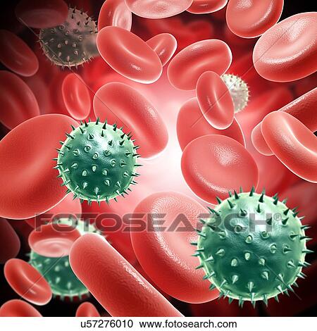 Stock Image - Rotaviruses in the bloodstream, illustration. Fotosearch