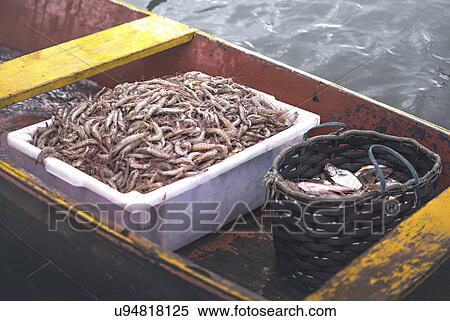 Stock Photography - Shrimp and fish on fishing boat. Fotosearch