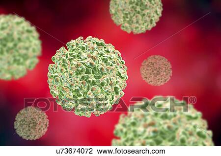 Sindbis virus, illustration View Large Photo Image Stock Image - Sindbis virus, illustration. Fotosearch