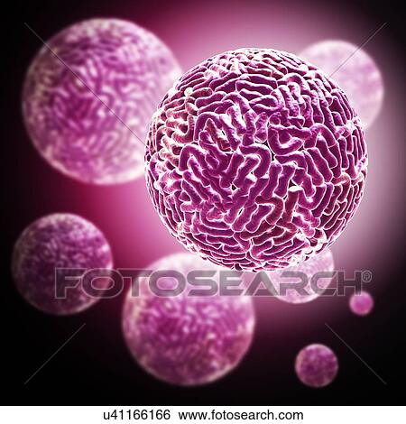 Stock Photograph - Sindbis virus particles, illustration. Fotosearch
