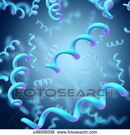 Stock Photo - Spirillum bacteria, illustration. Fotosearch