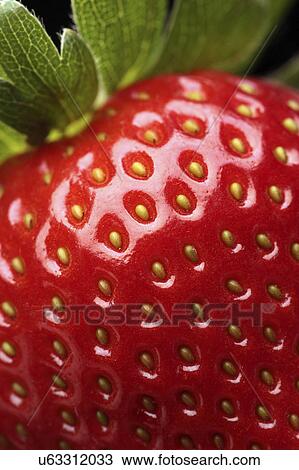 Strawberry, close up View Large Photo Image Stock Image - Strawberry, close up. Fotosearch