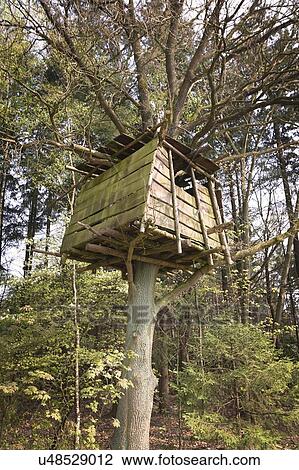 Stock Image - Tree house. Fotosearch