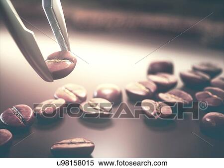 Tweezers selecting coffee bean, close up View Large Photo Image Stock Photography - Tweezers selecting coffee bean, close up. Fotosearch