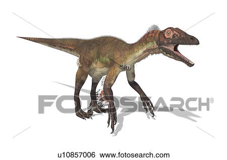 Stock Photograph - Utahraptor dinosaur, illustration. Fotosearch