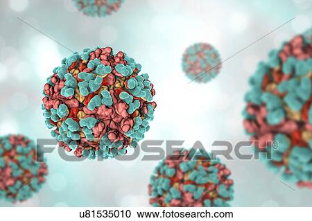 Venezuelan equine encephalitis virus, illustration View Large Photo Image Stock Image - Venezuelan equine encephalitis virus, illustration. Fotosearch