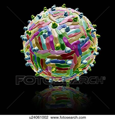 West Nile virus particle, illustration View Large Photo Image Stock Image - West Nile virus particle, illustration. Fotosearch