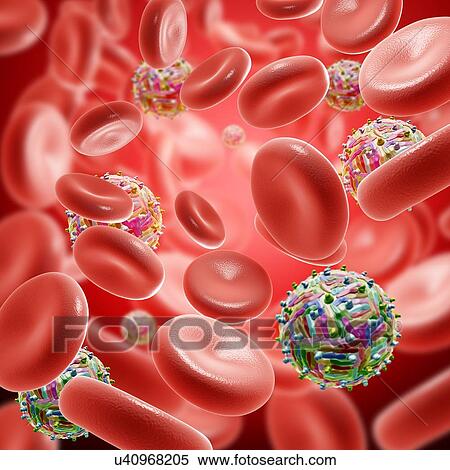 Stock Photography - West Nile virus particles in blood, illustration. Fotosearch