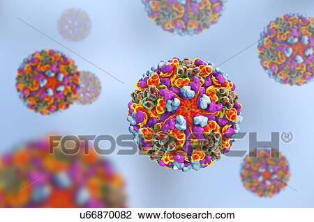Stock Image - Western equine encephalitis virus, illustration. Fotosearch