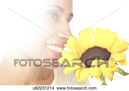 Woman holding sunflower View Large Photo Image Picture - Woman holding sunflower. Fotosearch