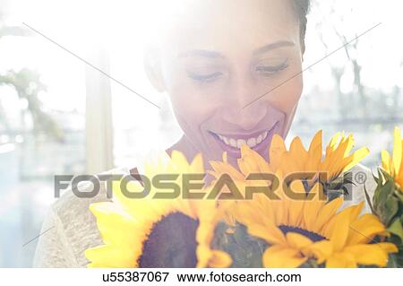 Woman holding sunflowers View Large Photo Image Stock Photo - Woman holding sunflowers. Fotosearch