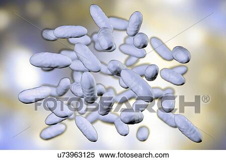 Stock Photography - Aggregatibacter aphrophilus bacteria, illustration. Fotosearch