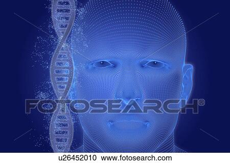 Stock Image - Biotechnology, conceptual illustration. Fotosearch
