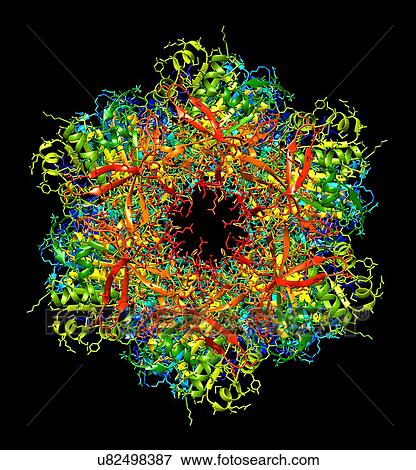 Stock Photo - Circadian clock molecule, molecular model. Fotosearch