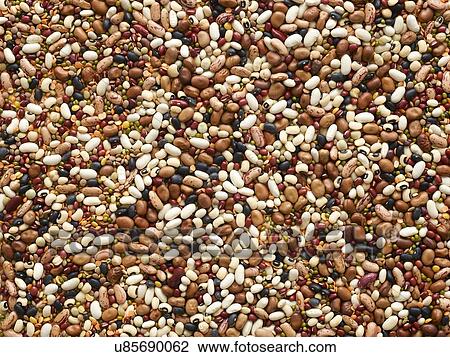 Mixed pulses View Large Photo Image Stock Image - Mixed pulses. Fotosearch