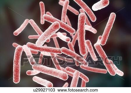 Stock Image - Mycobacterium chimaera bacteria, illustration. Fotosearch