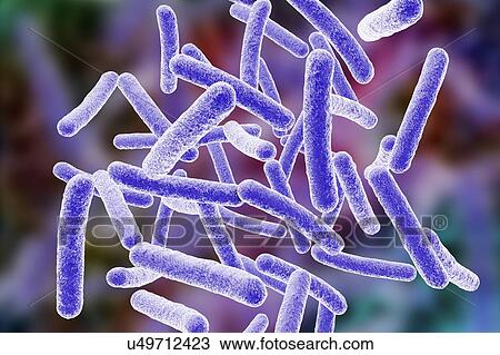 Stock Image - Mycobacterium chimaera bacteria, illustration. Fotosearch