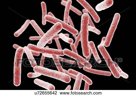 Mycobacterium chimaera bacteria, illustration View Large Photo Image Stock Image - Mycobacterium chimaera bacteria, illustration. Fotosearch