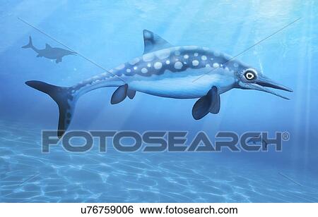 Ophthalmosaurus, illustration View Large Photo Image Stock Photograph - Ophthalmosaurus, illustration. Fotosearch