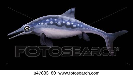 Stock Image - Ophthalmosaurus marine reptile, illustration. Fotosearch