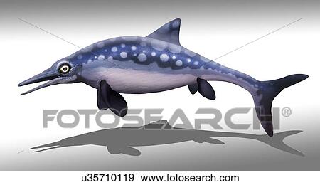 Stock Photo - Ophthalmosaurus marine reptile, illustration. Fotosearch