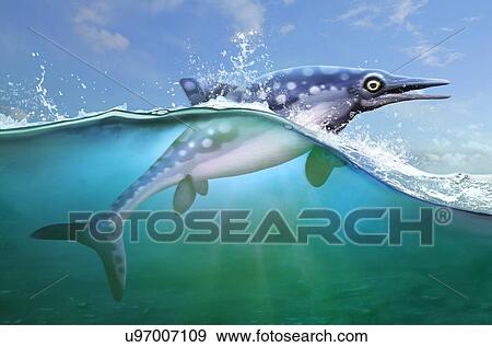 Stock Photo - Ophthalmosaurus marine reptile, illustration. Fotosearch