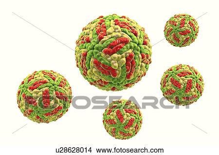 Picture - Powassan virus particles, illustration. Fotosearch