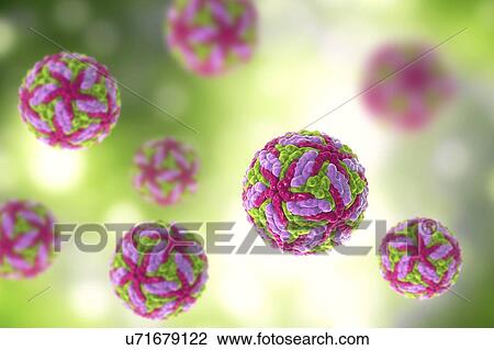 Stock Image - Powassan virus particles, illustration. Fotosearch