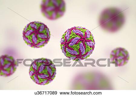 Stock Photo - Powassan virus particles, illustration. Fotosearch
