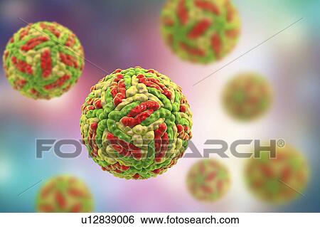 Stock Photograph - Powassan virus particles, illustration. Fotosearch