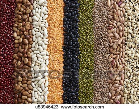 Stock Image - Pulses in rows. Fotosearch
