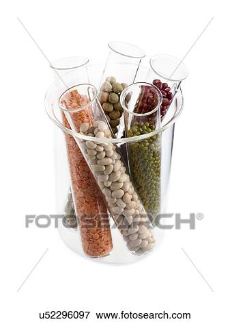 Stock Photo - Pulses in test tubes. Fotosearch