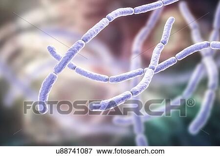 Stock Photo - Rat bite fever bacteria, illustration. Fotosearch