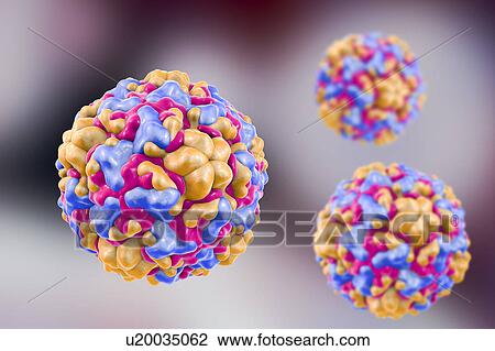 Stock Image - Rhinoviruses, illustration. Fotosearch
