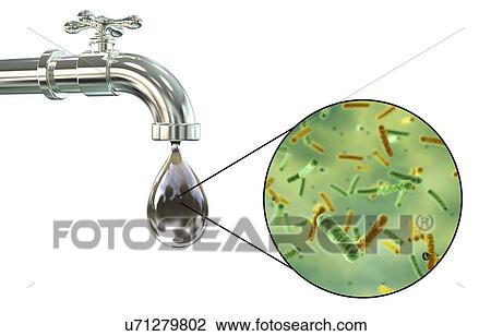 Safety of drinking water, conceptual illustration View Large Photo Image Stock Image - Safety of drinking water, conceptual illustration. Fotosearch
