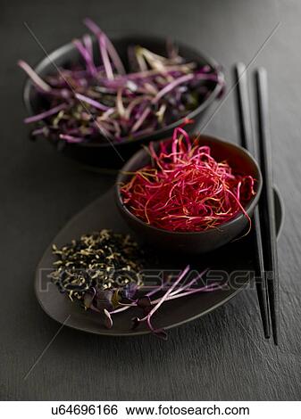 Stock Photograph - Sprouting beans and vegetables in bowls. Fotosearch