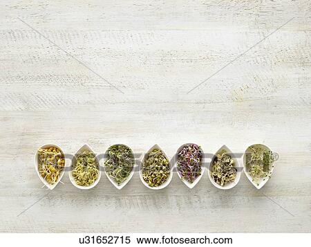 Stock Photography - Sprouting beans in serving bowls. Fotosearch