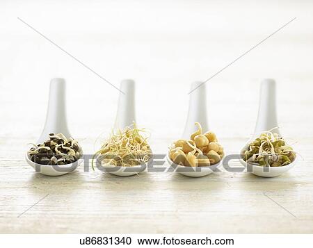Stock Image - Sprouting beans on ceramic spoons. Fotosearch