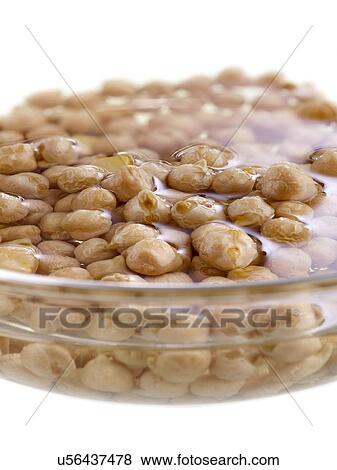 Stock Photo - Sprouting chickpeas soaking in water. Fotosearch