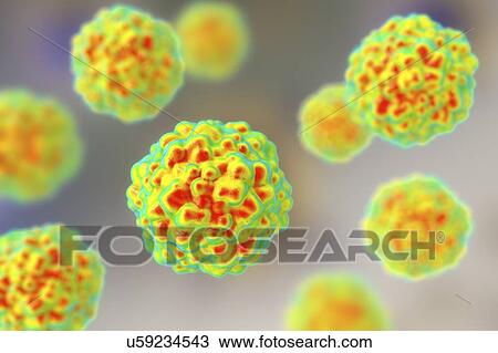 Transfusion transmitted virus particles, illustration View Large Photo Image Stock Image - Transfusion transmitted virus particles, illustration. Fotosearch